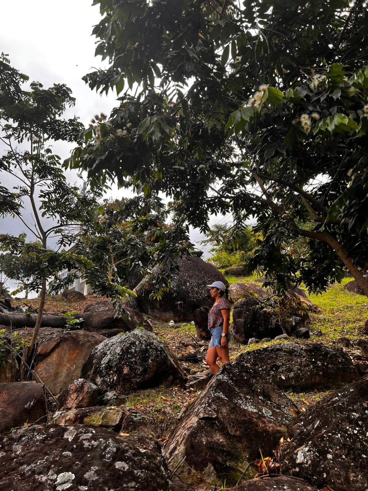 Finca Don Matias Melgar Eksteriør bilde